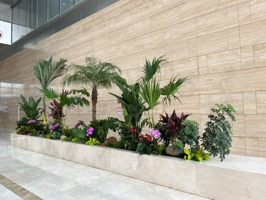 宁波北仑绿植租赁方案